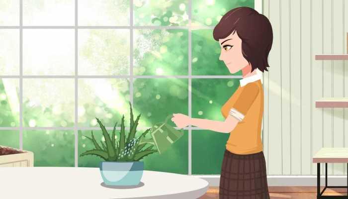 芦荟能生发吗？ 芦荟的功效和作用