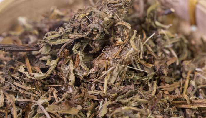 蒲公英洗澡能治宝宝湿疹吗？ 蒲公英怎样治疗宝宝湿疹