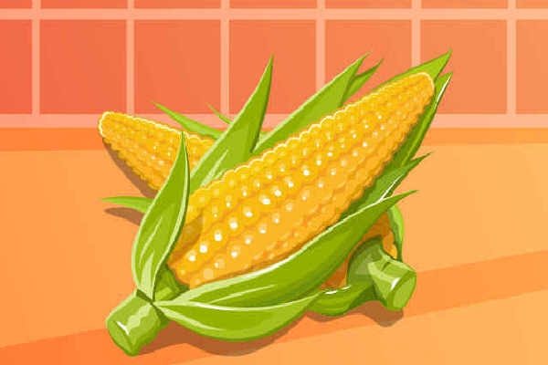 嫩玉米怎么剥 新鲜玉米怎么剥