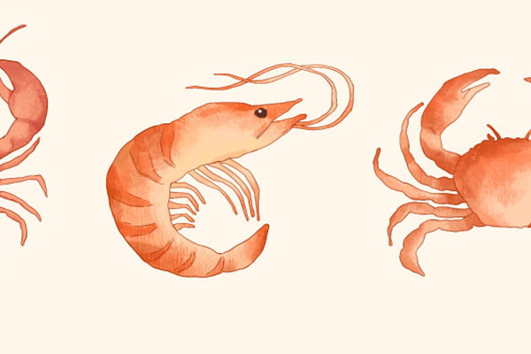 梭子蟹是淡水还是海水 梭子蟹是海蟹吗？ 海蟹有哪些