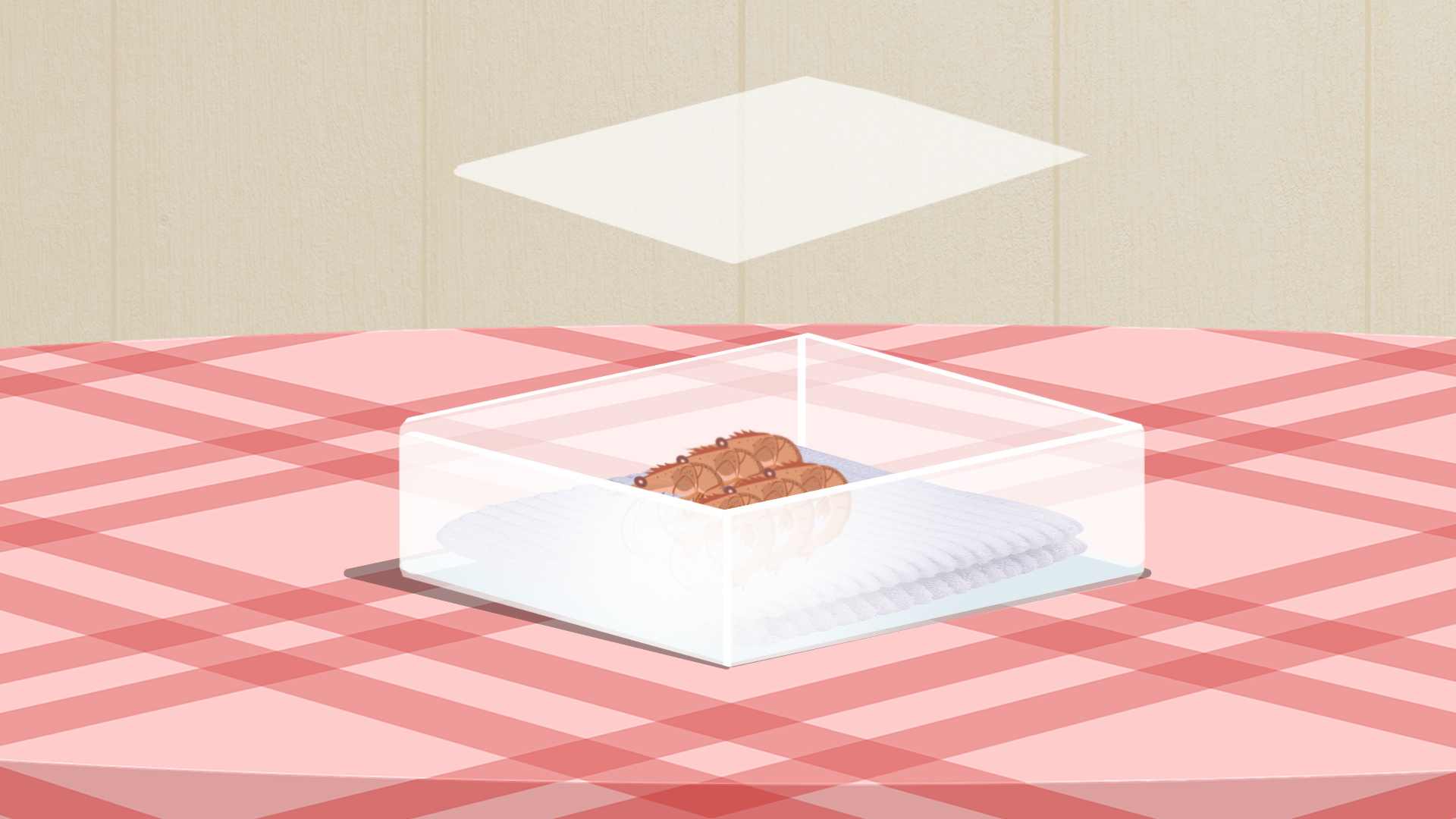 秋季怎么养肾 秋季养肾我们吃什么