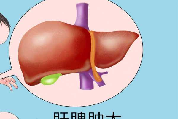 冬季如何养肝护肝 怎么养肝护肝