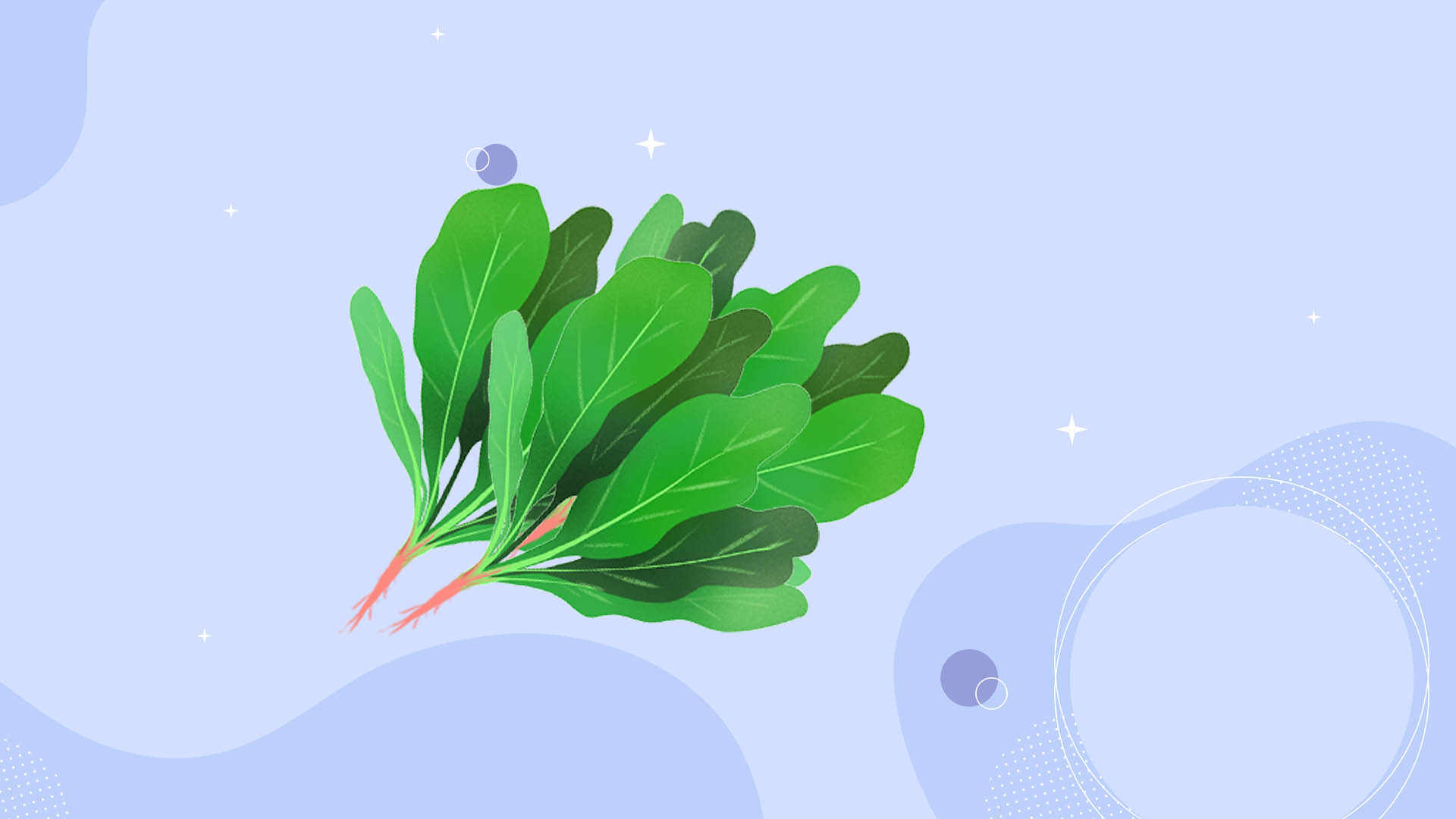 菠菜能和虾一起吃吗？ 菠菜的营养价值
