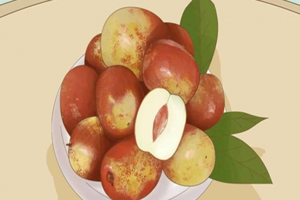 阴虚火旺能吃冬枣吗？ 冬枣食用过多的坏处