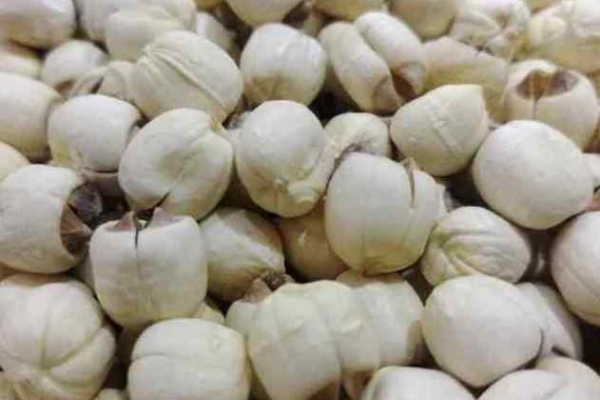 莲子心可以泡水喝吗？ 莲子心如何泡水喝