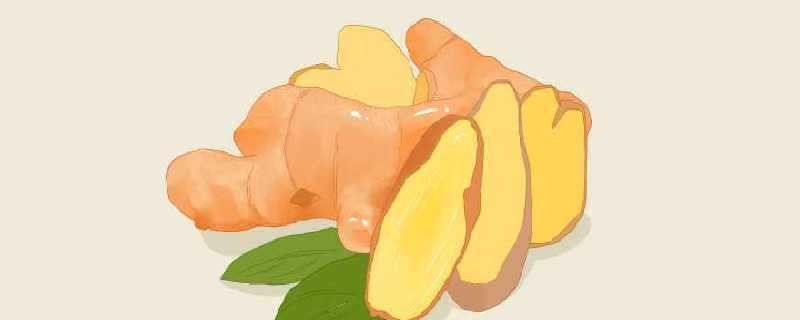 体寒吃什么食物调理 什么食物可以调理体寒