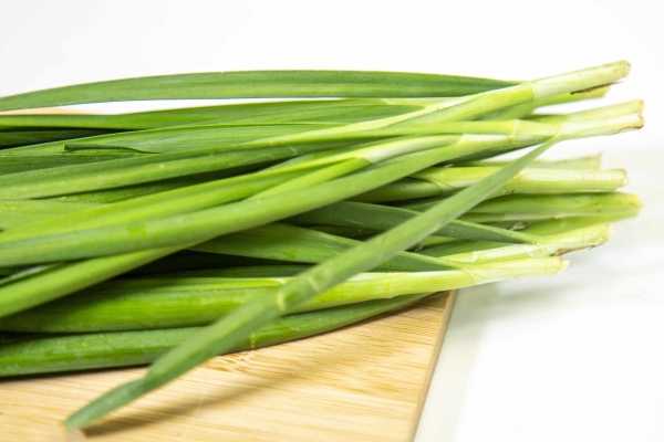 体寒吃什么食物调理 什么食物可以调理体寒