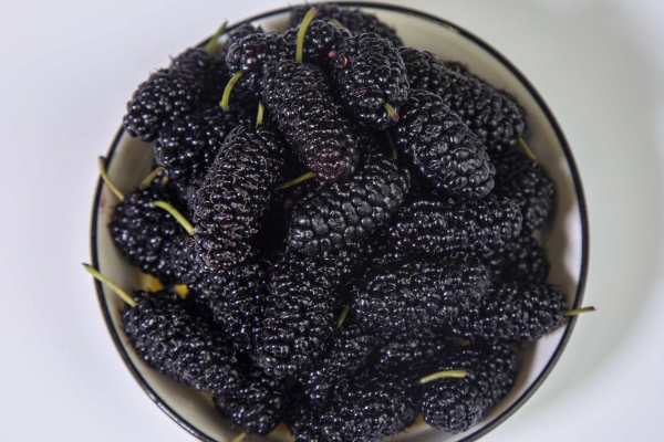 产后补气血的食物有哪些 产后恢复需要注意什么