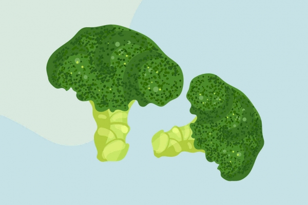 冬季减肥吃什么蔬菜最好 冬季减肥食谱