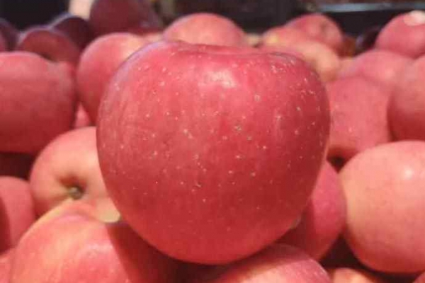 冬季减肥吃什么水果最好 减肥不适合吃的水果