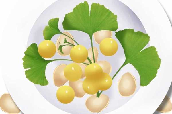 白果的正确吃法与功效 白果的功效和作用