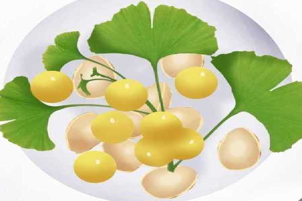 白果怎么吃才是正确的 白果的常见食谱
