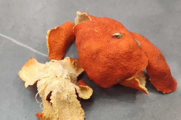 陈皮怎么泡水喝比较好 泡陈皮水的方法