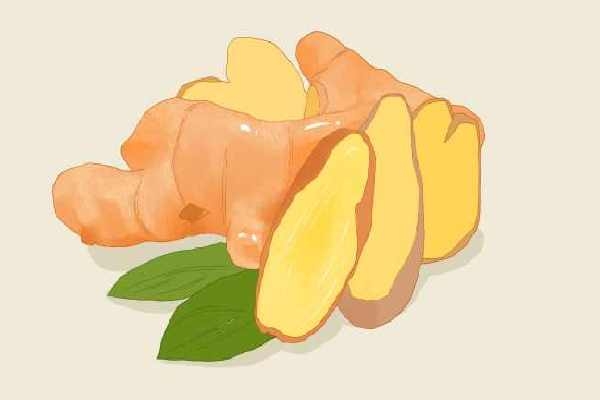 湿气太重的人吃陈皮加什么 陈皮的功效作用