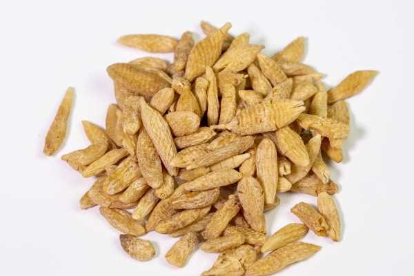 刮油最狠的四种减肥主食 能减肥的主食