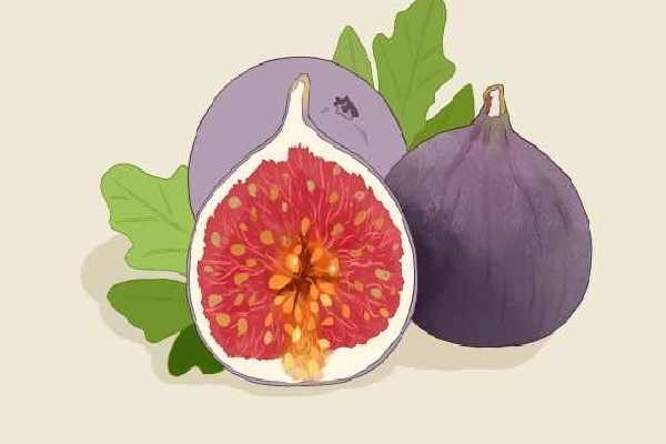 红斑狼疮可以吃羊肉吗？ 红斑狼疮不适合吃什么