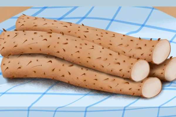 秋季怎样养生比较好 秋老虎吃什么食物比较好