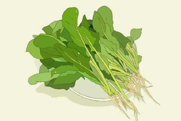 秋季养生喝的养生汤 适合秋季食用的蔬菜