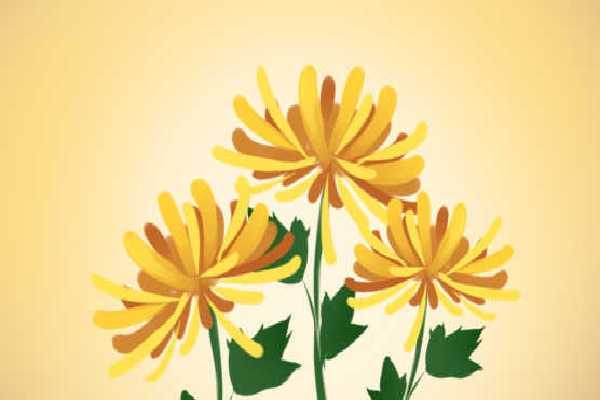 秋日七宝，秋季养生食材大汇总 就按这个吃