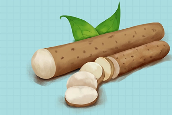 山药和牛排能一起炖吗？ 山药的价值和功效