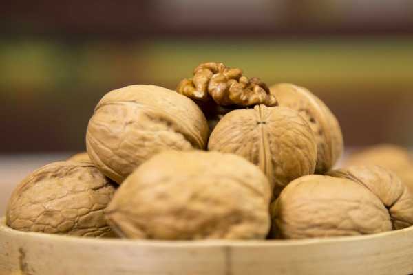 男人秋季喝什么粥好 男性秋季养生粥有哪些