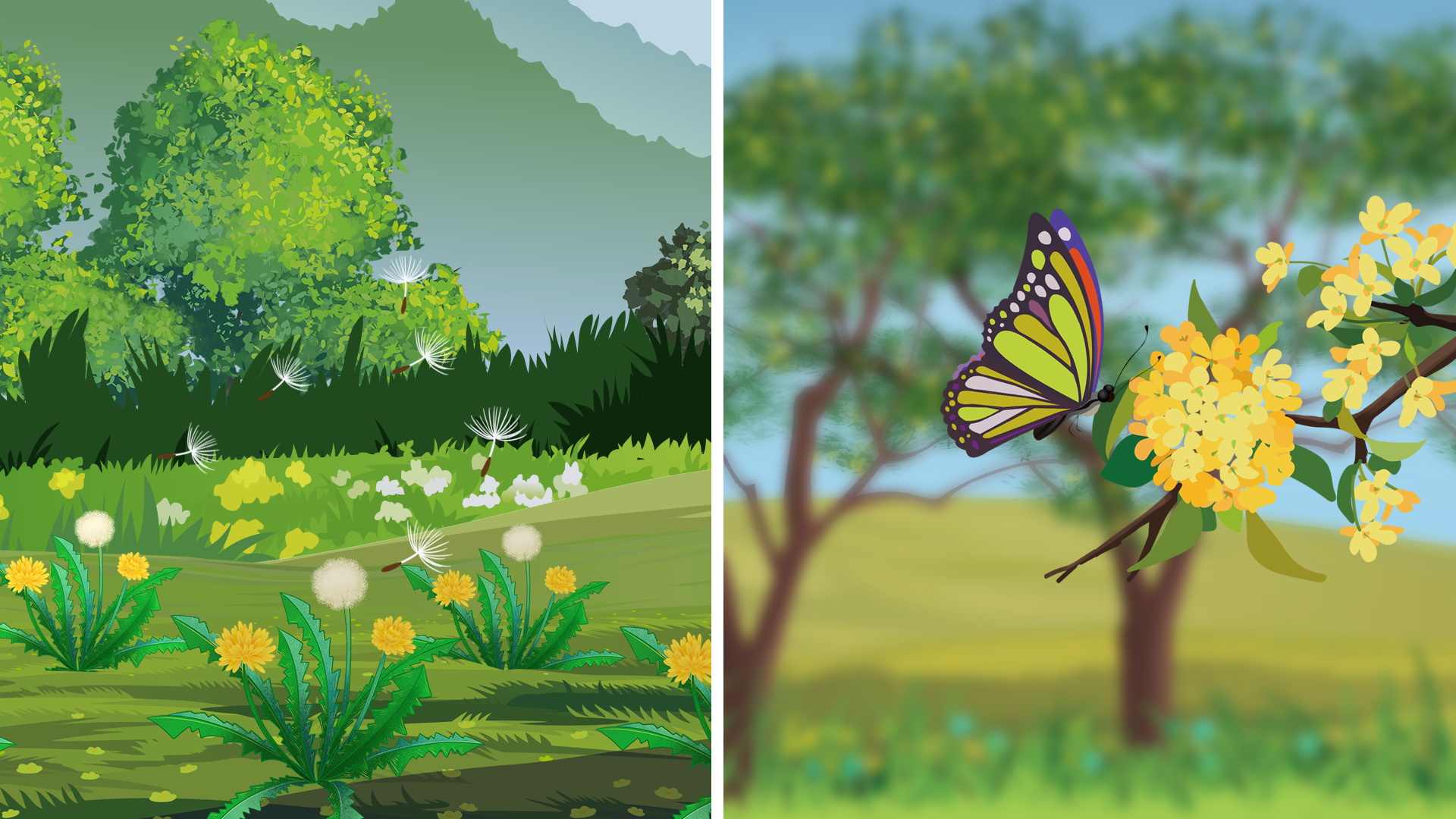 立秋有哪些野菜可以吃 立秋多吃什么野菜养生