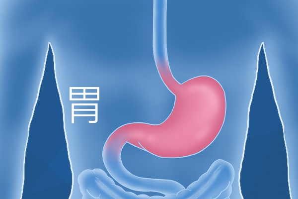 多吃山药有什么好处和坏处 吃山药的讲究