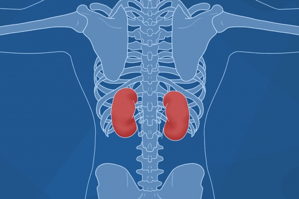 多吃山药有什么好处和坏处 吃山药的讲究
