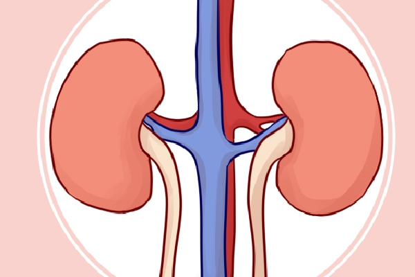 山药豆的功效与作用 山药豆的日常吃法