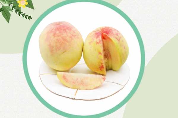 秋燥的季节要如何养生 润肺去燥的七大食物