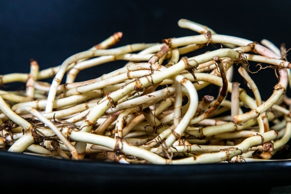 折耳根吃多了有什么副作用 折耳根的营养价值