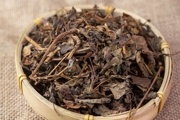 折耳根晒干泡水喝的功效 冬天喝什么泡水养生好