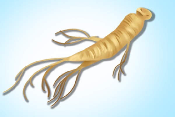 西洋参和人参的区别 人参的日常食用方法