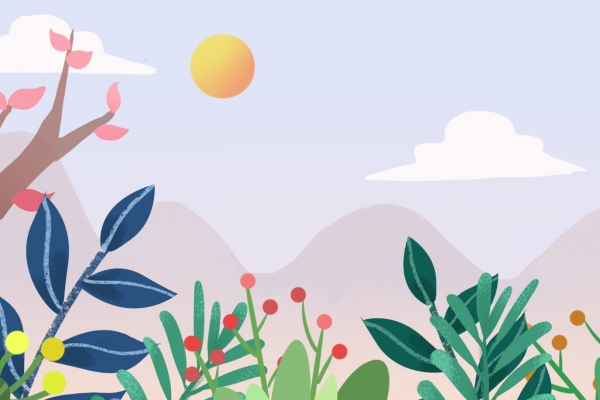 干陈皮怎么晒比较好 陈皮烘干的三大步骤