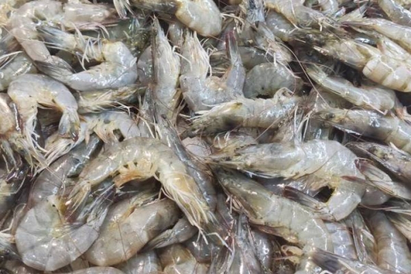 基围虾怎么快速去虾线 基围虾的常见吃法