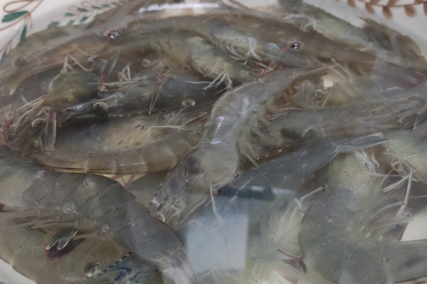 白灼基围虾冷水下锅还是热水 不同部位虾的做法