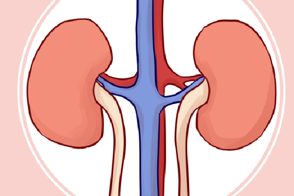 折耳根为什么又叫鱼腥草 过量吃鱼腥草的坏处