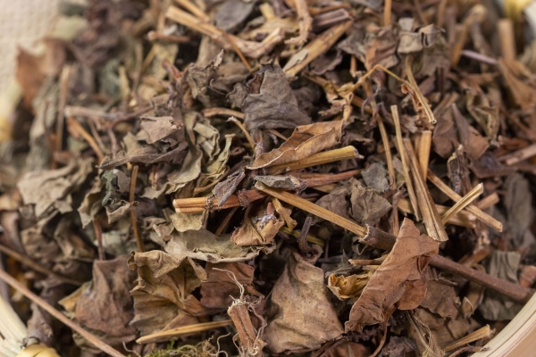 鱼腥草对男性性功能有影响吗？ 提高男性性功能吃什么