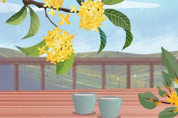 腊梅花可以泡水喝吗？ 适合冬天喝的养生花茶