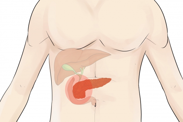 吃什么可以解酒最快简单 喝多酒对身体的危害