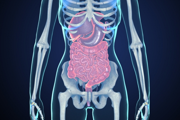 醒酒汤怎么做又简单又方便 红酒的营养价值
