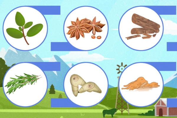 炖鸡汤不能放哪些调料 炖鸡汤的功效作用