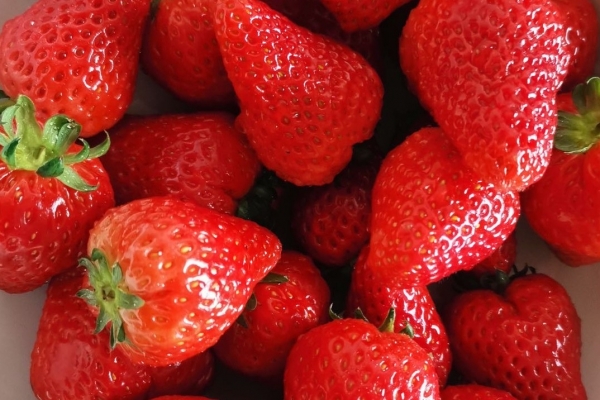 草莓吃多了会怎么样 吃草莓对人体的好处