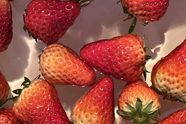 草莓怎么清洗干净又快 挑选草莓的小技巧