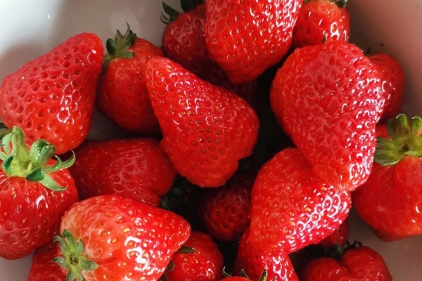 草莓一天最多吃几颗 草莓甜品的做法