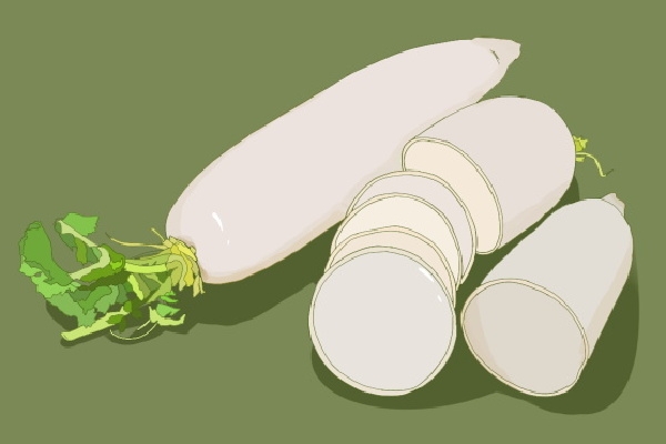 白萝卜和红萝卜可以一起吃吗？ 白萝卜的功效与作用