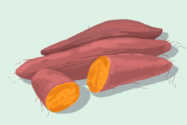 红薯和牛奶可以一起吃吗？ 红薯的营养价值功效