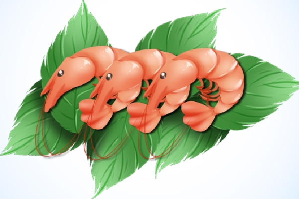 牛奶和虾可以一起吃吗？ 挑选新鲜海鲜的小技巧