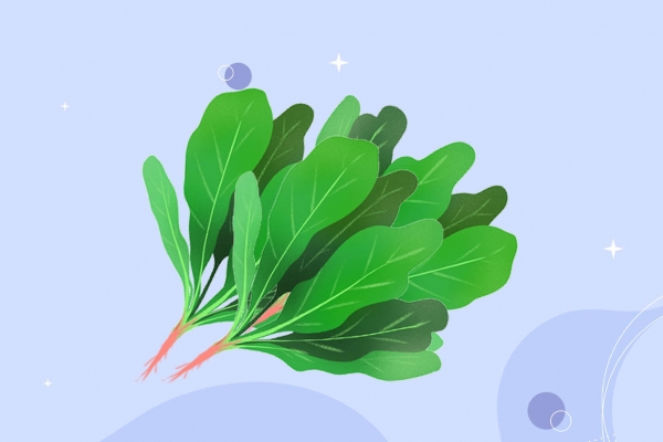 牛肉和菠菜可以一起吃吗？ 不能和牛肉一起吃的食物