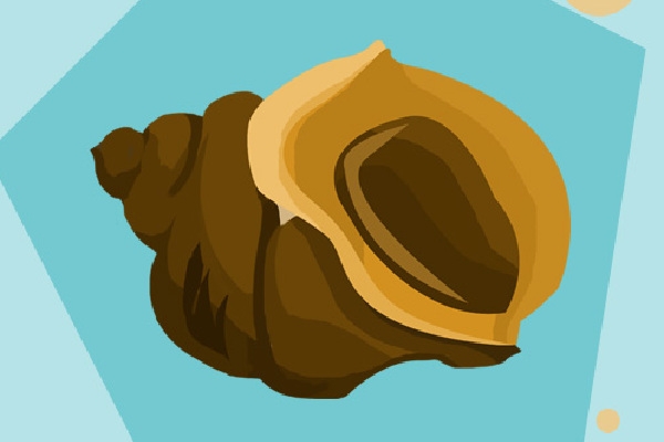 牛肉和菠菜可以一起吃吗？ 不能和牛肉一起吃的食物